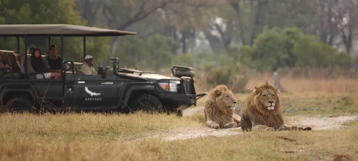 Safari en África