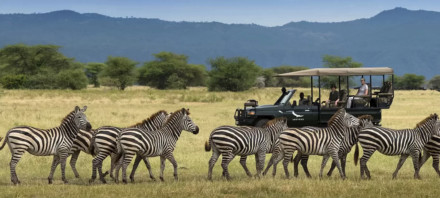 Safari con 4x4 abierto