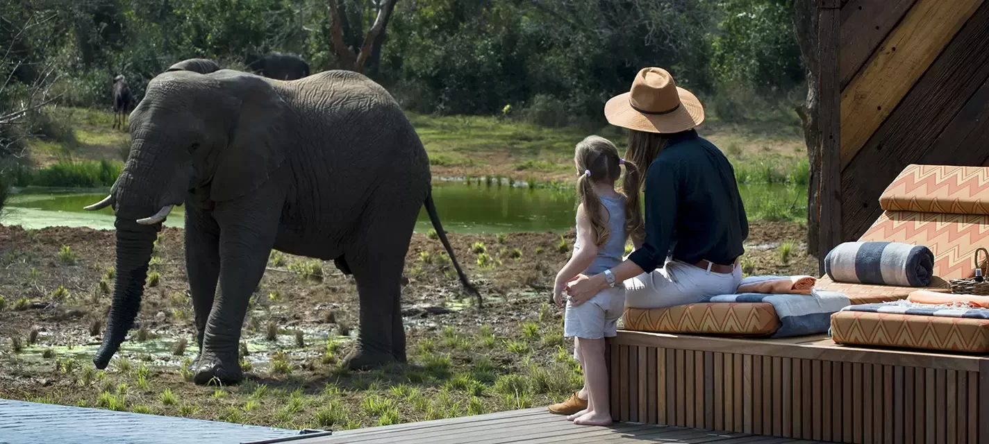 Safari en familia